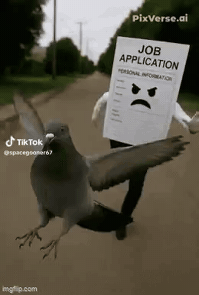 Pigeon Flying In Front Of Person Wearing Job Application GIF