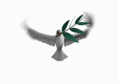 Pigeon Flying With Branch In Beak GIF