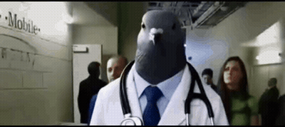 Pigeon In Doctor Coat And Tie GIF