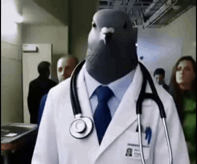 Pigeon In Doctor Coat And Tie With Stethoscope GIF