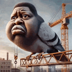 Pigeon Lebron GIF