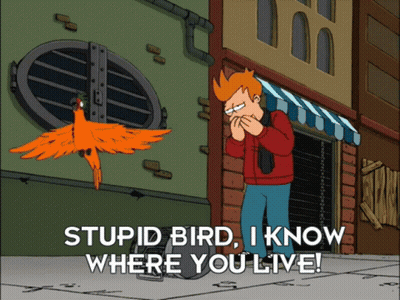 Pigeon Looking At Tired Of Being A Bird Sign GIF