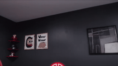 Pigeon On Wall Beside Window GIF