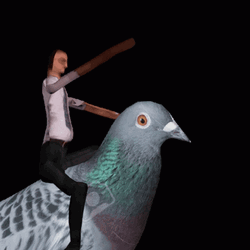 Pigeon Riding A Bird GIF