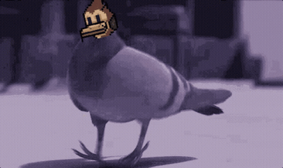 Pigeon Wearing Mask With Letter B GIF
