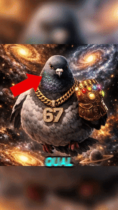 Pigeon With Necklace 67 GIF