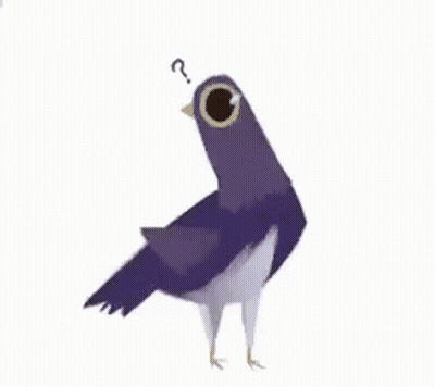 Pigeon With Question Mark On Head GIF