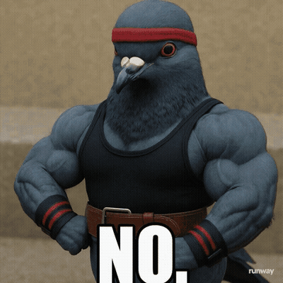 Pigeon With Red Headband And Black Tank Top Says No GIF