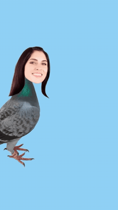 Pigeon With Woman's Head GIF