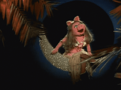 Piggy Doll Sitting On Hammock With Palm Tree GIF
