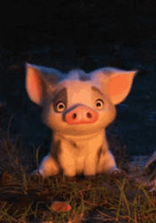 Piggy What Confused Why How GIF
