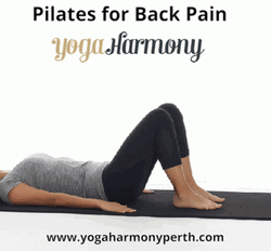 Pilates For Back Pain GIF