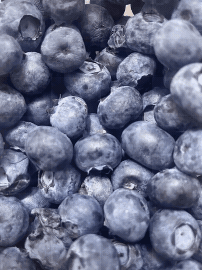 Pile Of Blueberries With A Few Missing GIF