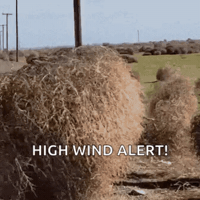Pile Of Hay With High Wind Alert GIF