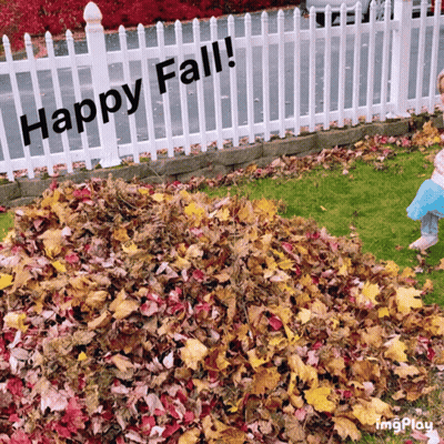 Pile Of Leaves In Front Of Fence Saying Happy Fall GIF