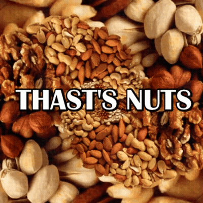 Pile Of Nuts That's Nuts GIF