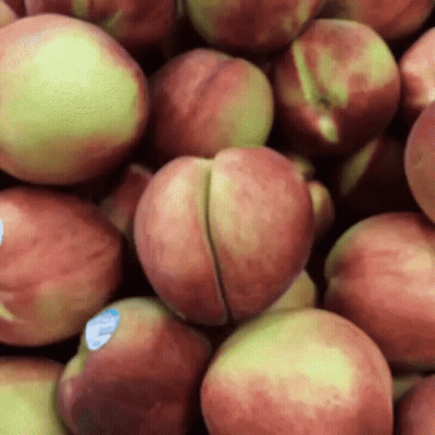 Pile Of Peaches With Blue Label GIF