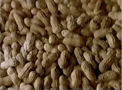 Pile Of Peanuts In Shells With Some Missing GIF