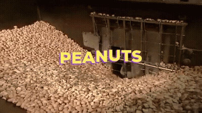 Pile Of Peanuts With Text Peanuts GIF
