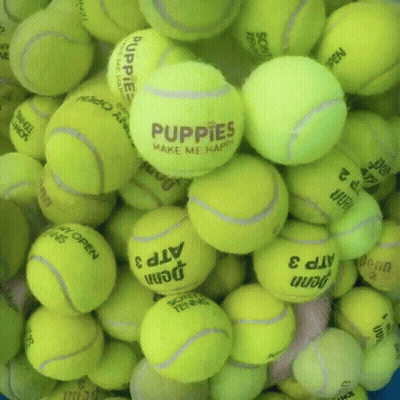 Pile Of Tennis Balls Saying Puppies Make Me Happy GIF