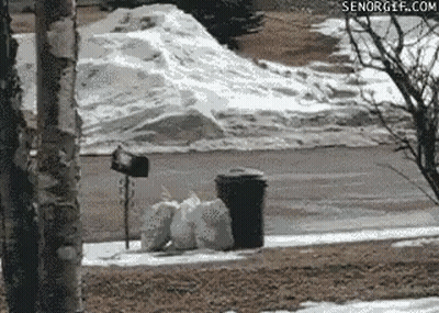 Pile Of Trash Bags Next To Mailbox In Snow GIF