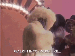 Pimp Walk Walking Into Work Like GIF