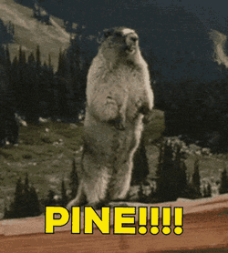 Pine Pineapple GIF
