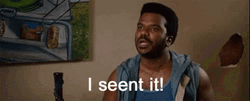Pineapple Express Matheson I Sent It GIF