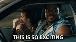 Pineapple Express Matheson So Exciting GIF