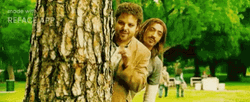 Pineapple Express Seth Rogen James Franco Spying GIF