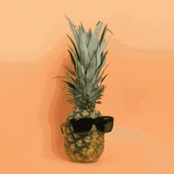 Pineapple Eyeglasses Different Shades GIF