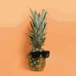 Pineapple Eyeglasses Retro GIF