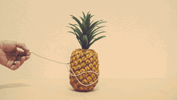 Pineapple Rolling Fall Down GIF