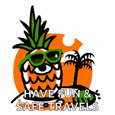 Pineapple Wearing Sunglasses Have Fun & Safe Travels GIF