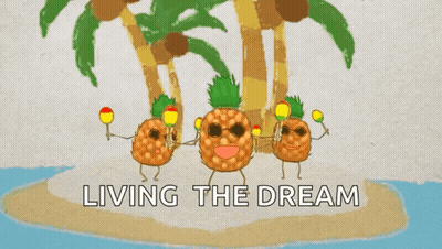 Pineapples On Small Island Living The Dream GIF