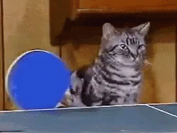 Ping Pong GIF