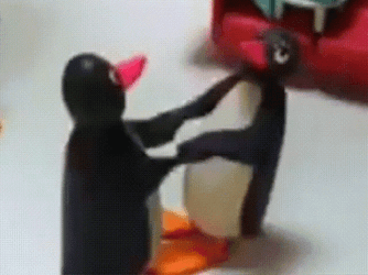 Pingu Penguin Playing GIF