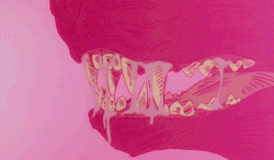 Pink Aesthetics Dinosaur Sharp Teeth