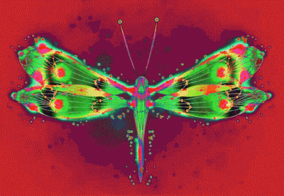 Pink And White Butterfly On Blue Dots GIF
