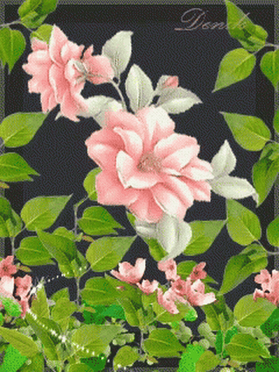 Pink And White Flowers With Denk GIF