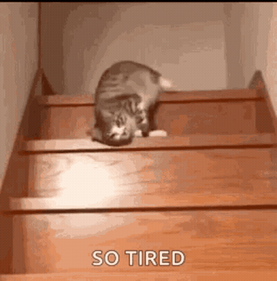 Pink And White Teddy Bear Making Angry Face GIF