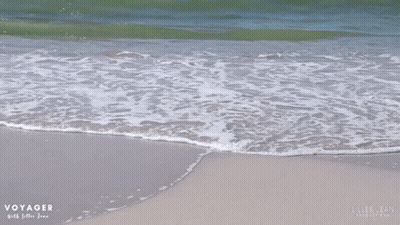 Pink And Yellow Flower 4Gifs.com GIF