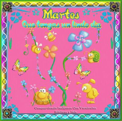 Pink Background Flowers Butterflies Martes GIF