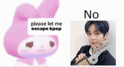Pink Bunny Says Please Let Me Escape Kpop Next To Boy Holding CD GIF