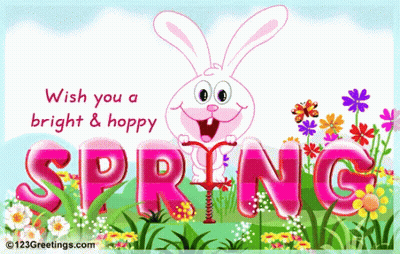 Pink Bunny Spring Greeting Card GIF