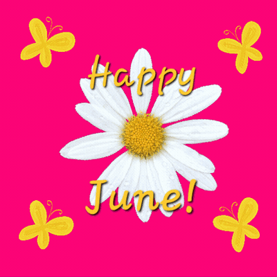 Pink Butterfly Flying Over Red Roses GIF