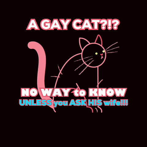 Póster de gato rosa diciendo un gato gay GIF