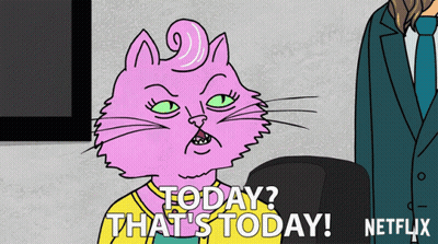 Pink Cat Saying Today Netflix GIF