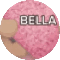Pink Circle Bella Sticker
