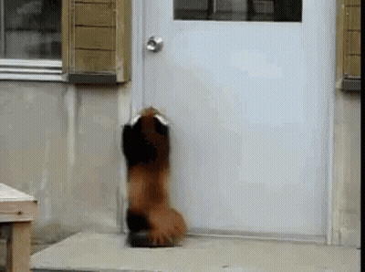 Pink Circle Saying I Love You GIF